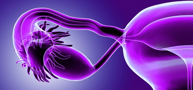 نقش استروژن در سرطان تخمدان - متابولیسم بدن - سرطان سینه - تومورهای تخمدان