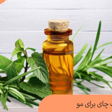 روغن درخت چای برای مو