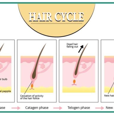 هر آنچه باید در مورد ریزش مو و چرخه رشد مو باید بدانید