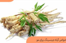 جینسینگ برای مو