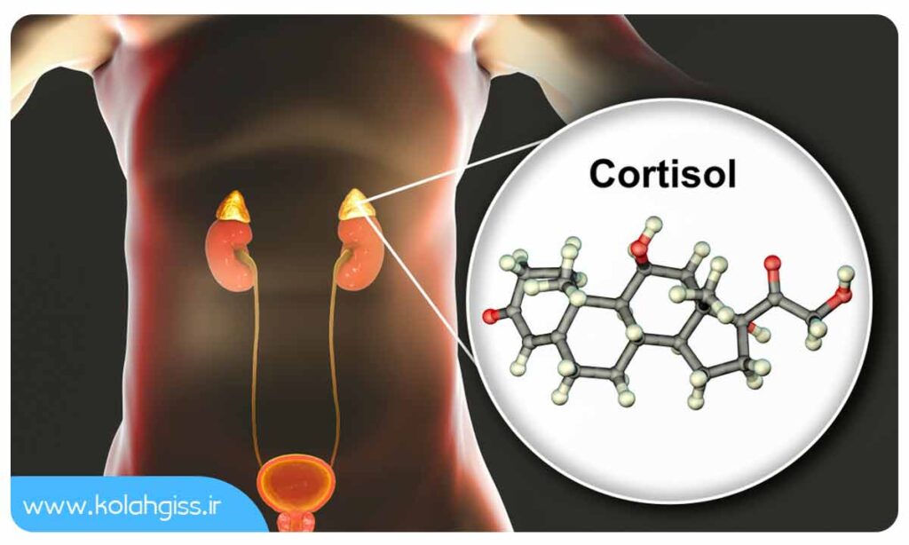 روش ترشح هورمون کورتیزول